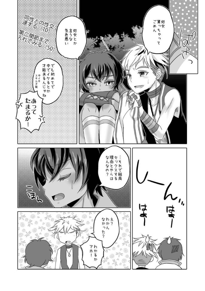 [hariwata (石蕗らいし)] 君と幾千の夜を過ごそう (マビノギ) [DL版]