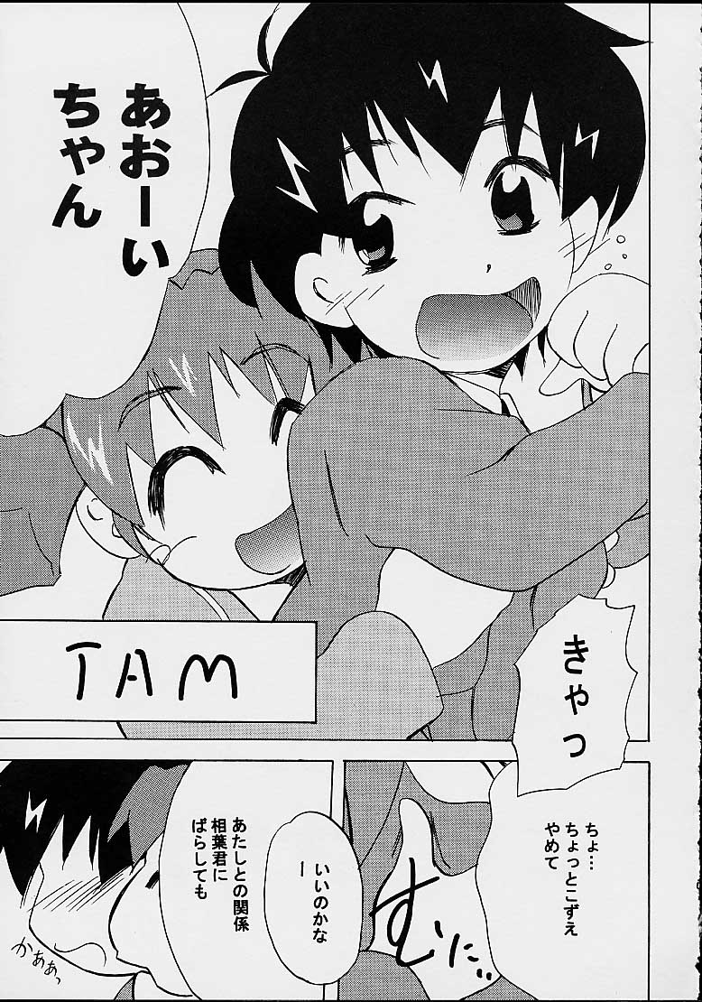 (C63) [PH (TAM)] AOI至上主義 4 (無限のリヴァイアス)