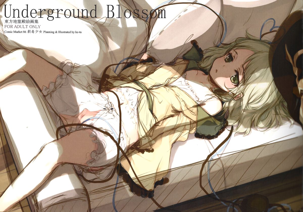 (C86) [劇毒少女 (ke-ta)] Underground Blossom (東方Project)
