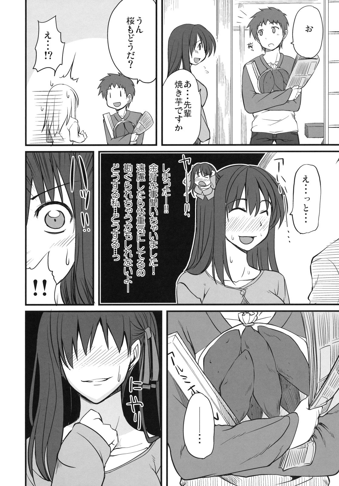 (C79) [Ronpaia (Fue)] わんでい! vol.17 (フェイト／ステイナイト)