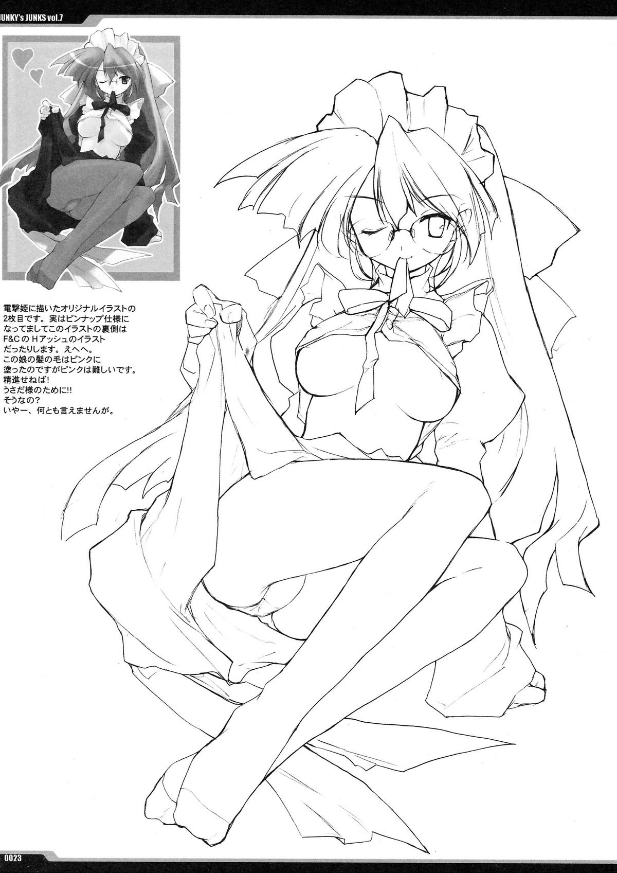 [PEACE MAKER (E=MC2)] Junky's Junks vol.7