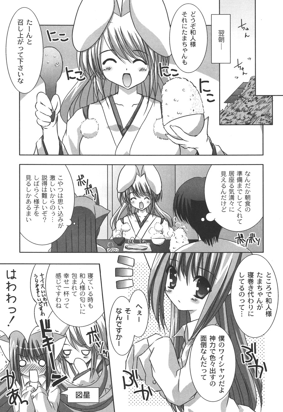 [しきがみあずま] 二丁目の猫神さま [DL版]