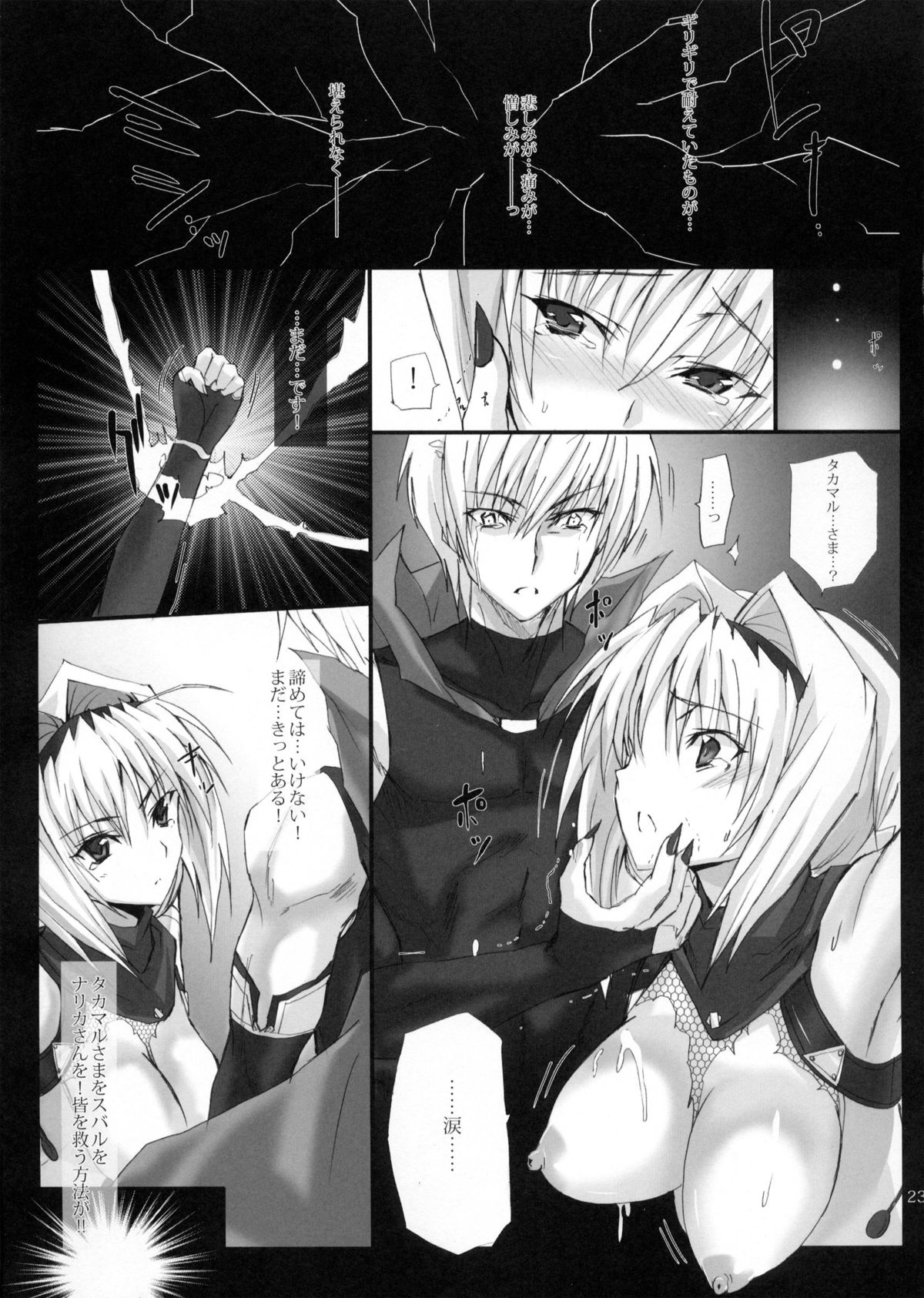 (COMIC1☆6) [ヴェロニカの歯 (の歯)] 闇を纒いし焔は己が身を忘却の獄炎へ (超昂閃忍ハルカ)