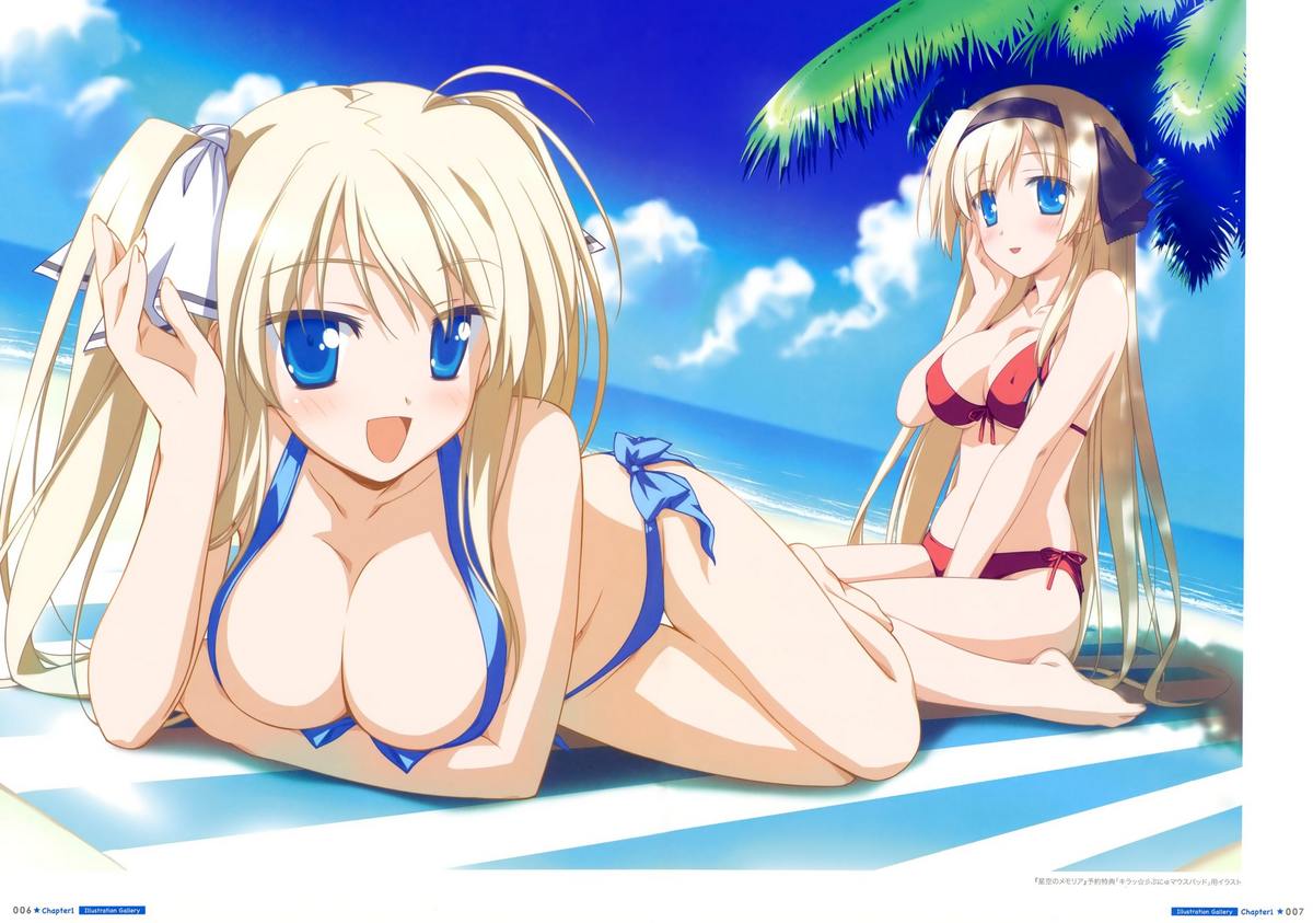 [司田カズヒロ] 司田カズヒロアートワークス 星空のメモリア with Eternal Heart [ページ欠落]