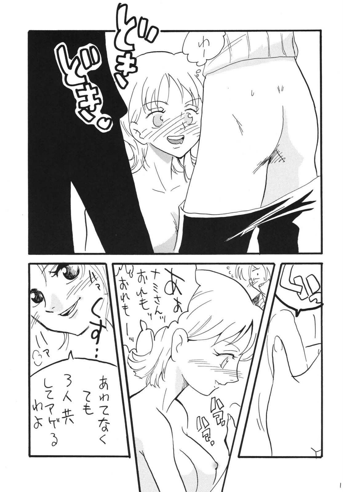 [銀桃堂 (みたさとみ)] 航海日誌 DX (ワンピース) [DL版]