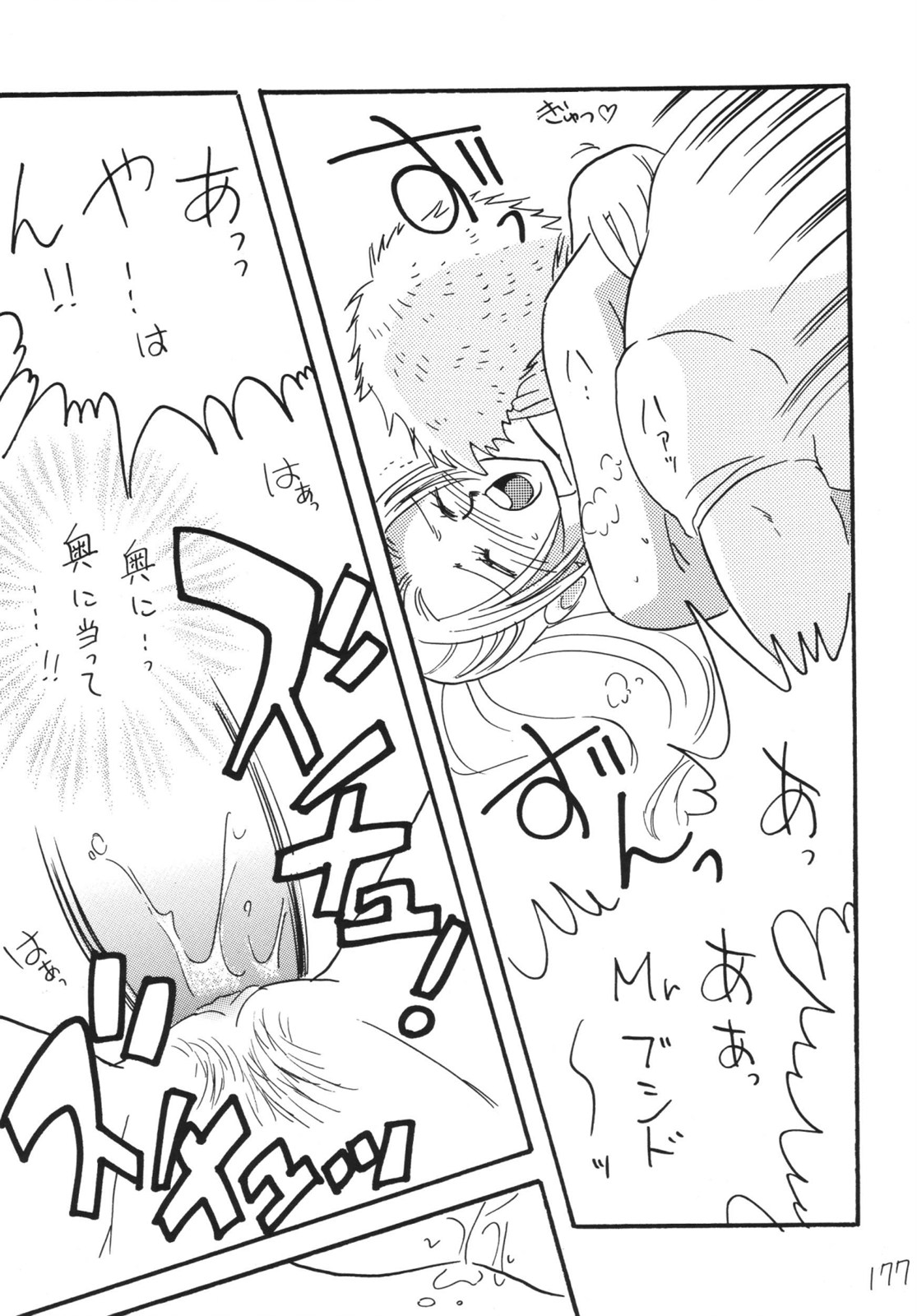 [銀桃堂 (みたさとみ)] 航海日誌 DX (ワンピース) [DL版]