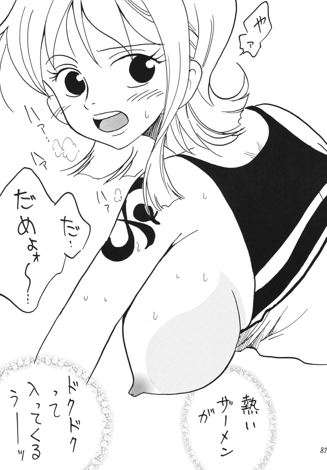 [銀桃堂 (みたさとみ)] 航海日誌 DX (ワンピース) [DL版]