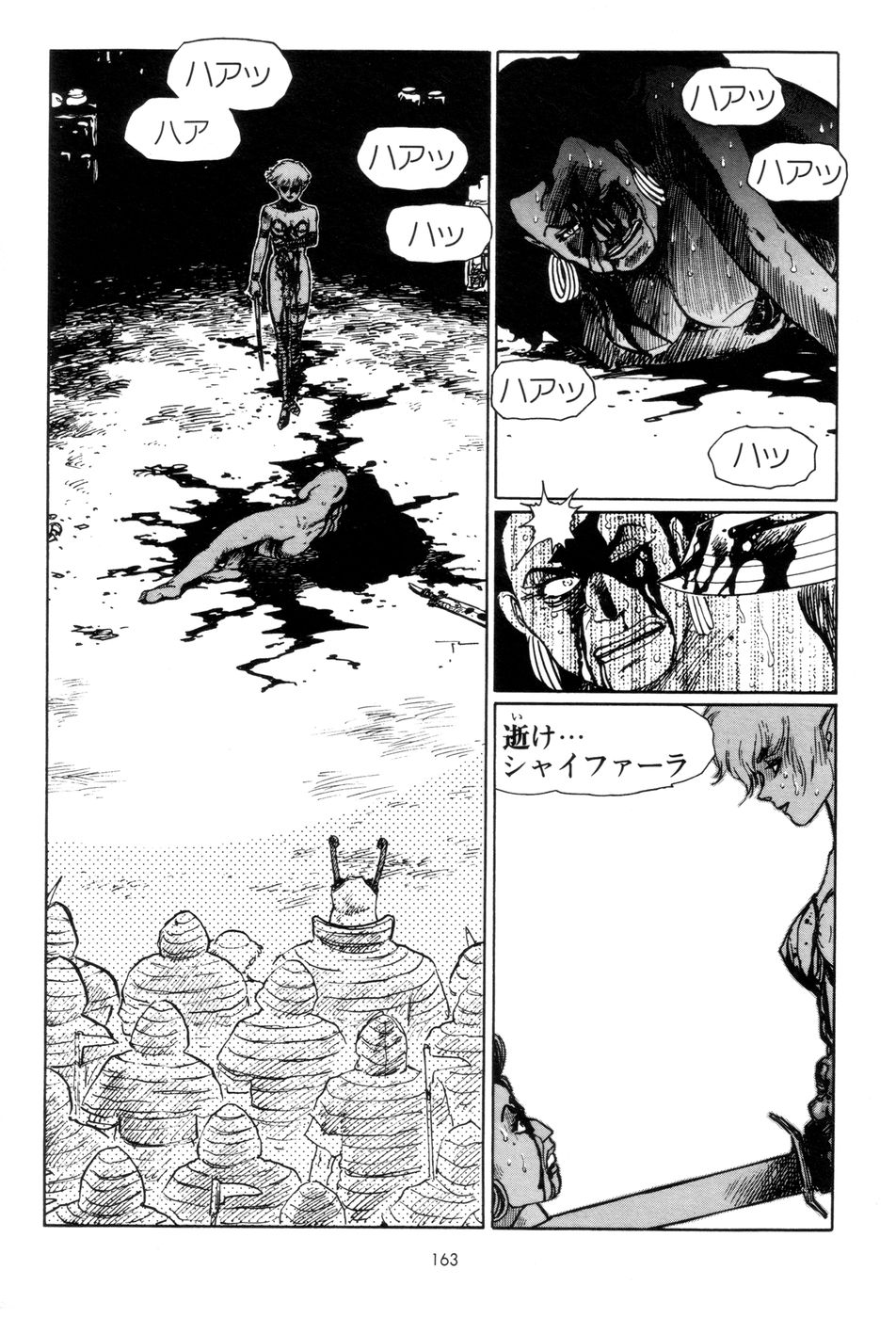 [山本貴嗣] 剣の国のアーニス