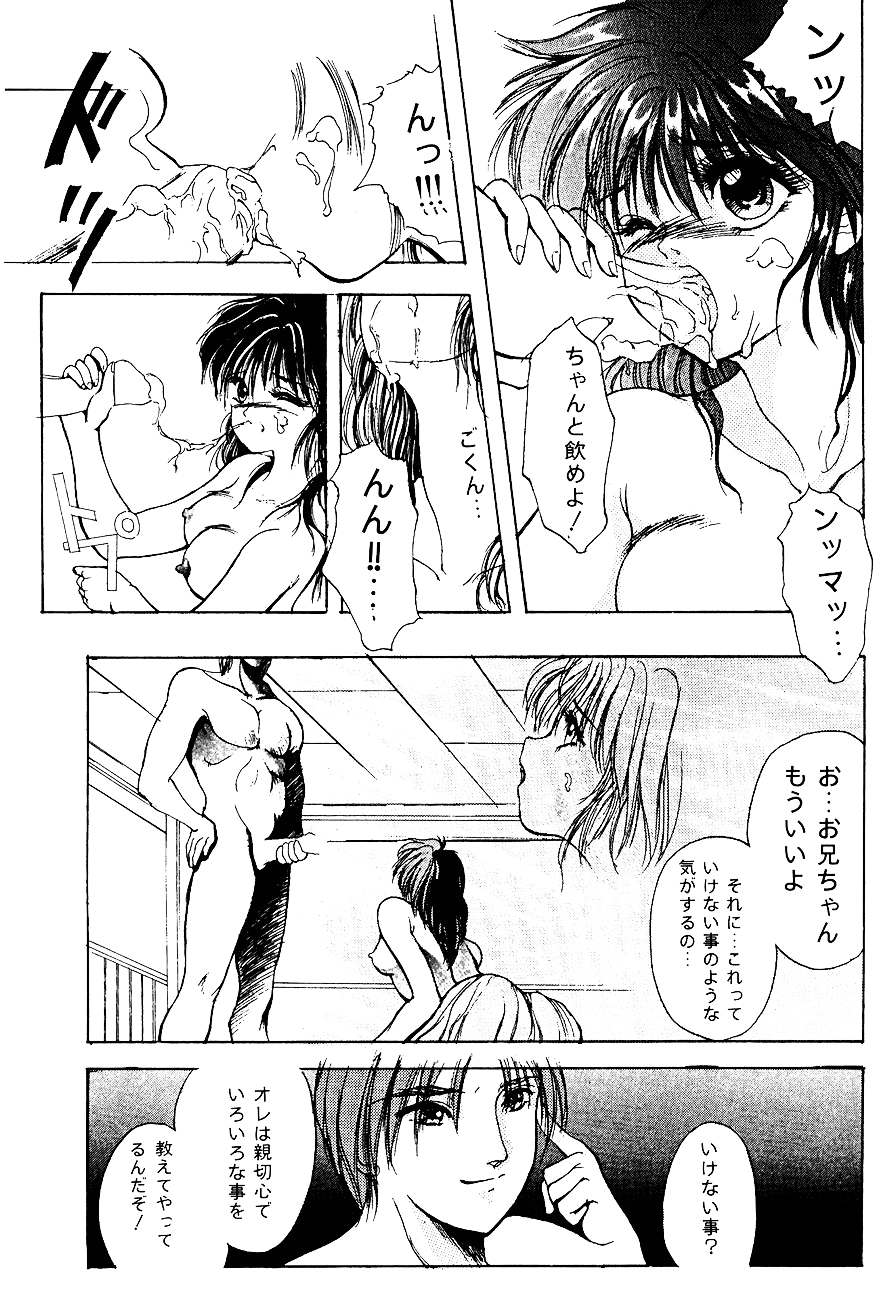 ハイスクール白書