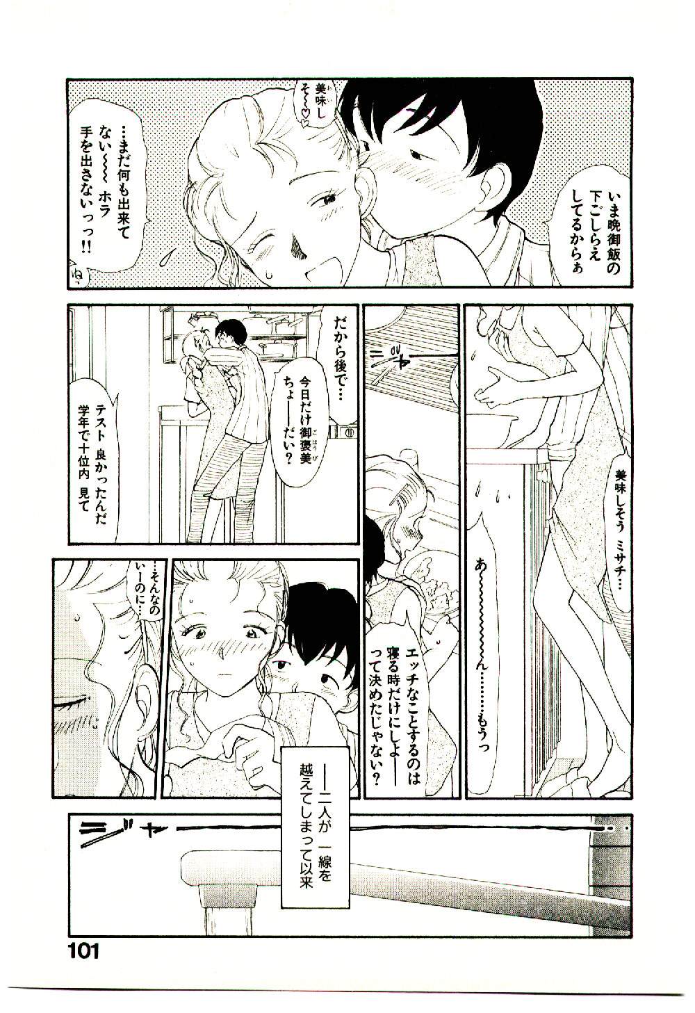 [陽気婢] えっちーず 5