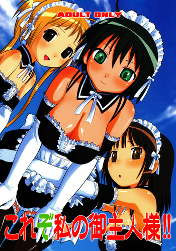 (C68) [AMP (野良黒ネロ)] これぞ私のご主人様 (これが私の御主人様)