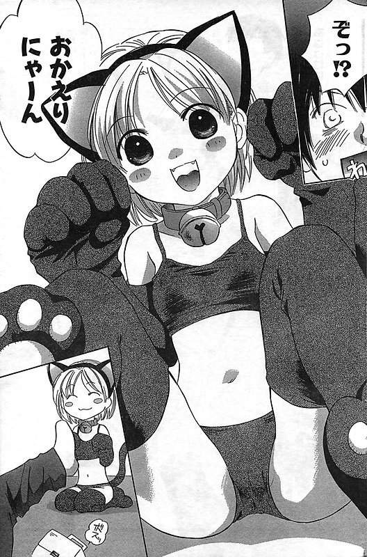 COMIC キャンドール 2006年11月号 Vol.34