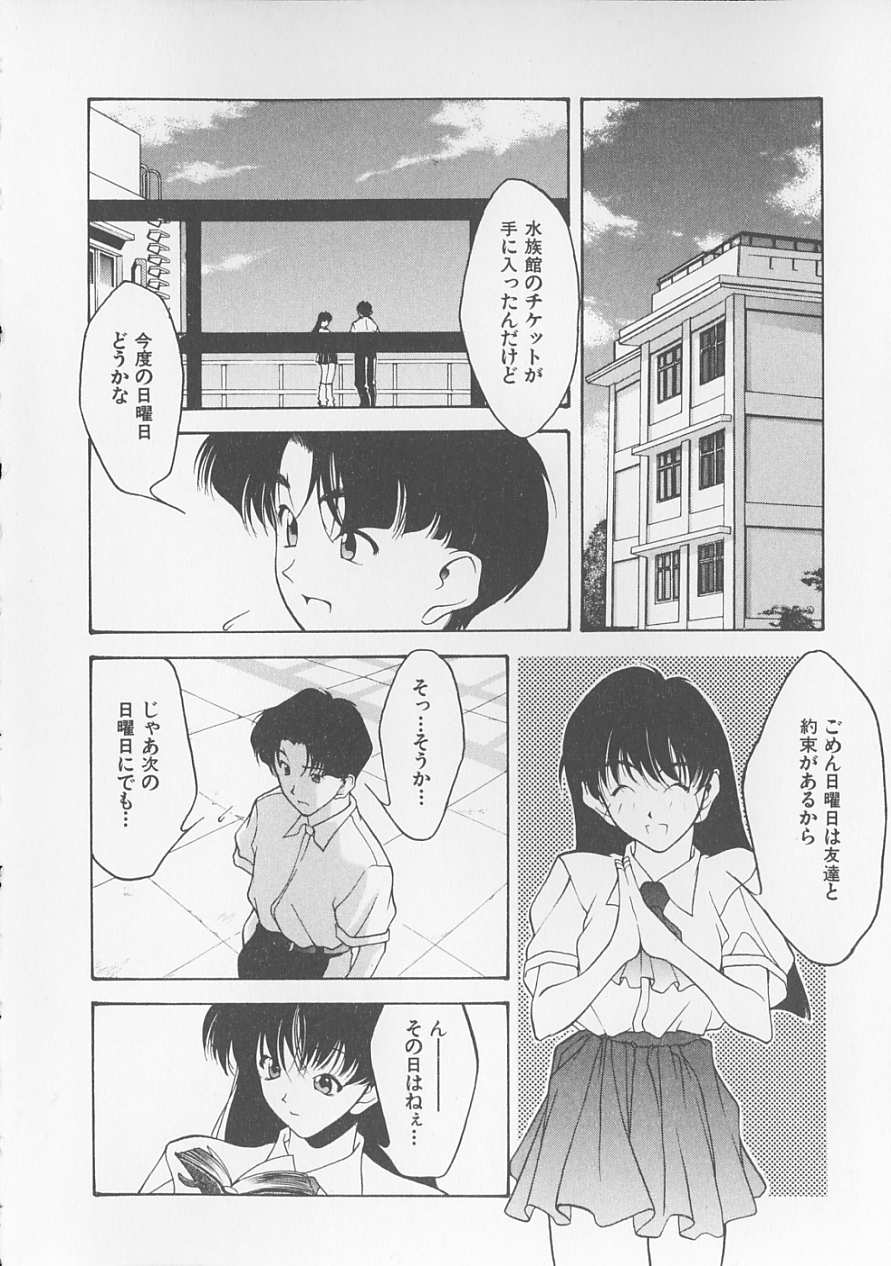 [文月晃] 恋する方程式