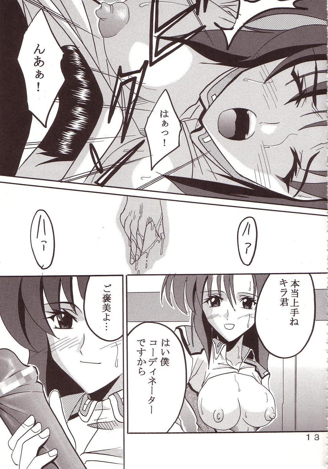 [聖リオ (キ帝ィ、石川銃兵)] SEED 3 (機動戦士ガンダムSEED)