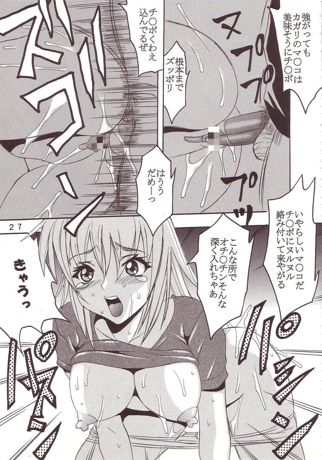 [聖リオ (キ帝ィ、石川銃兵)] SEED 3 (機動戦士ガンダムSEED)