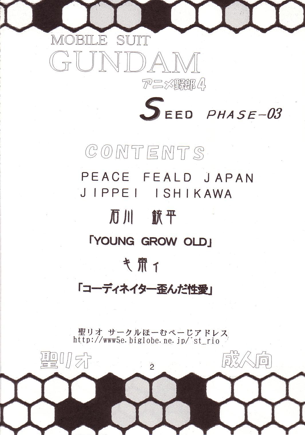 [聖リオ (キ帝ィ、石川銃兵)] SEED 3 (機動戦士ガンダムSEED)