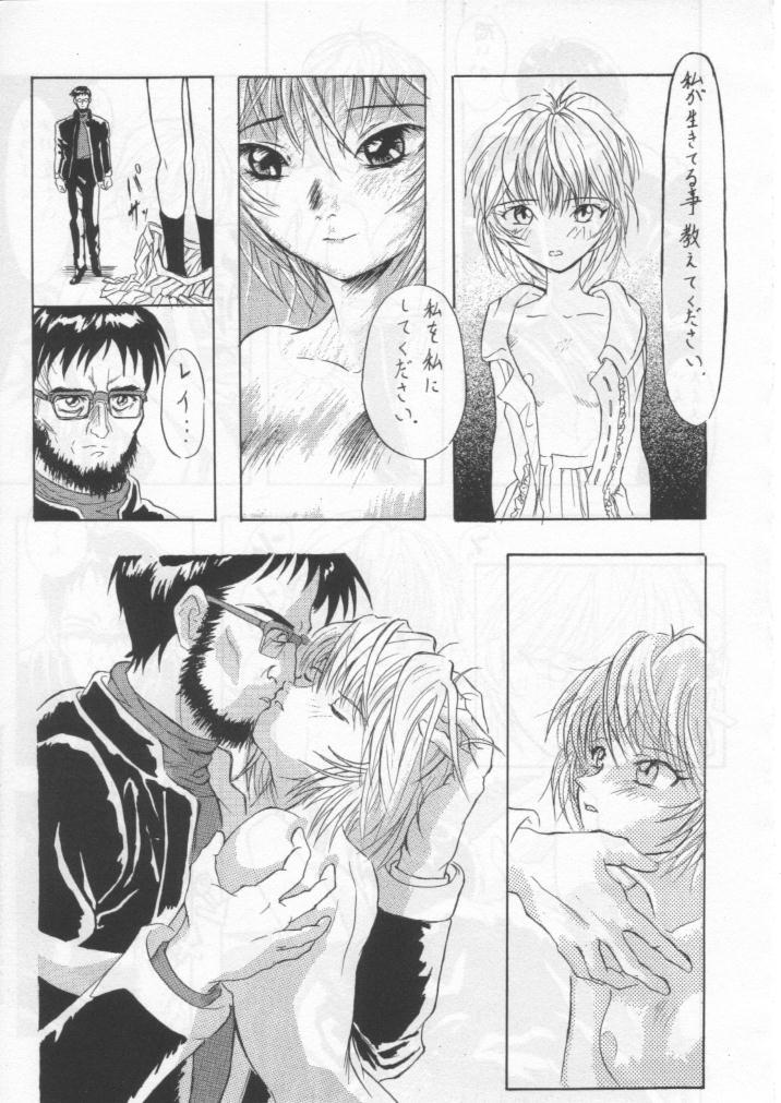 (C50) [てーるおぶにやりー (よろず)] 影護 5 (よろず)