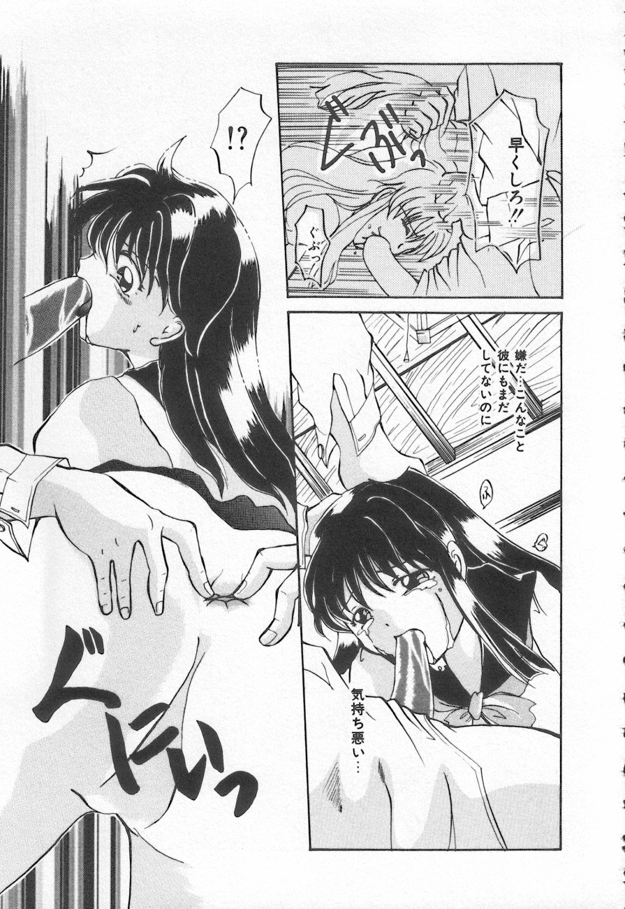 COMIC しりこだま 3