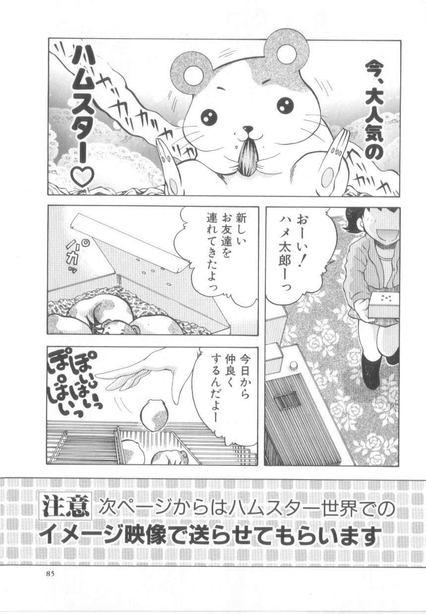 [あわじひめじ]泡姫殿