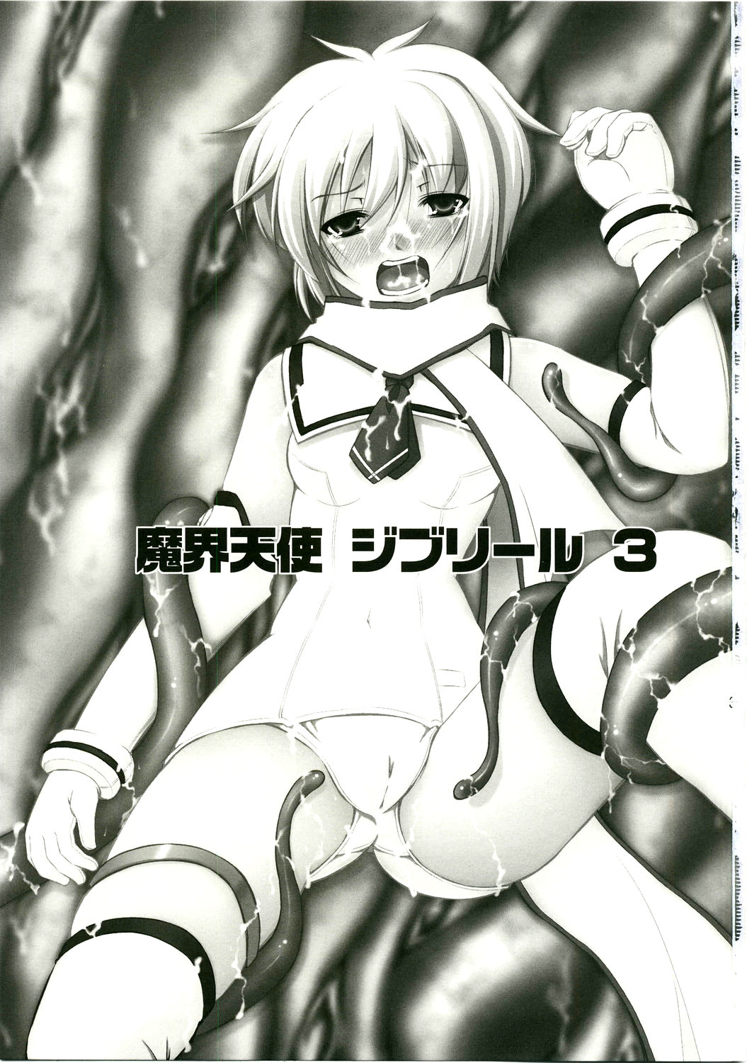 (C75) [たかねの花園 (たかねのはな)] 天舞3 (魔界天使ジブリール3)