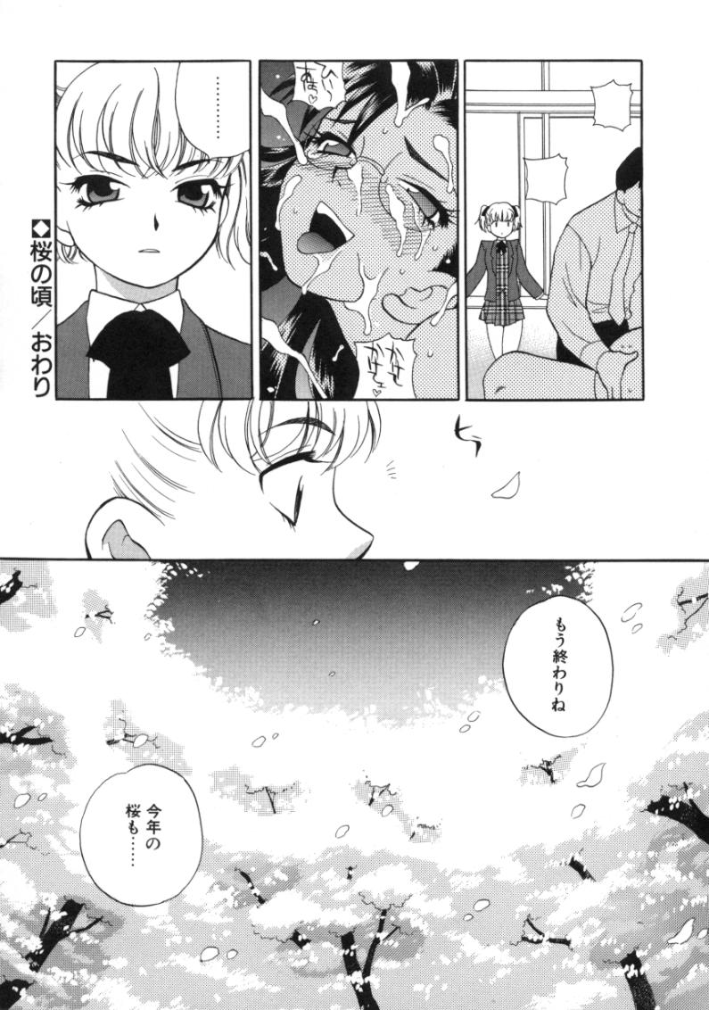[ゆきやなぎ] びんかん娘