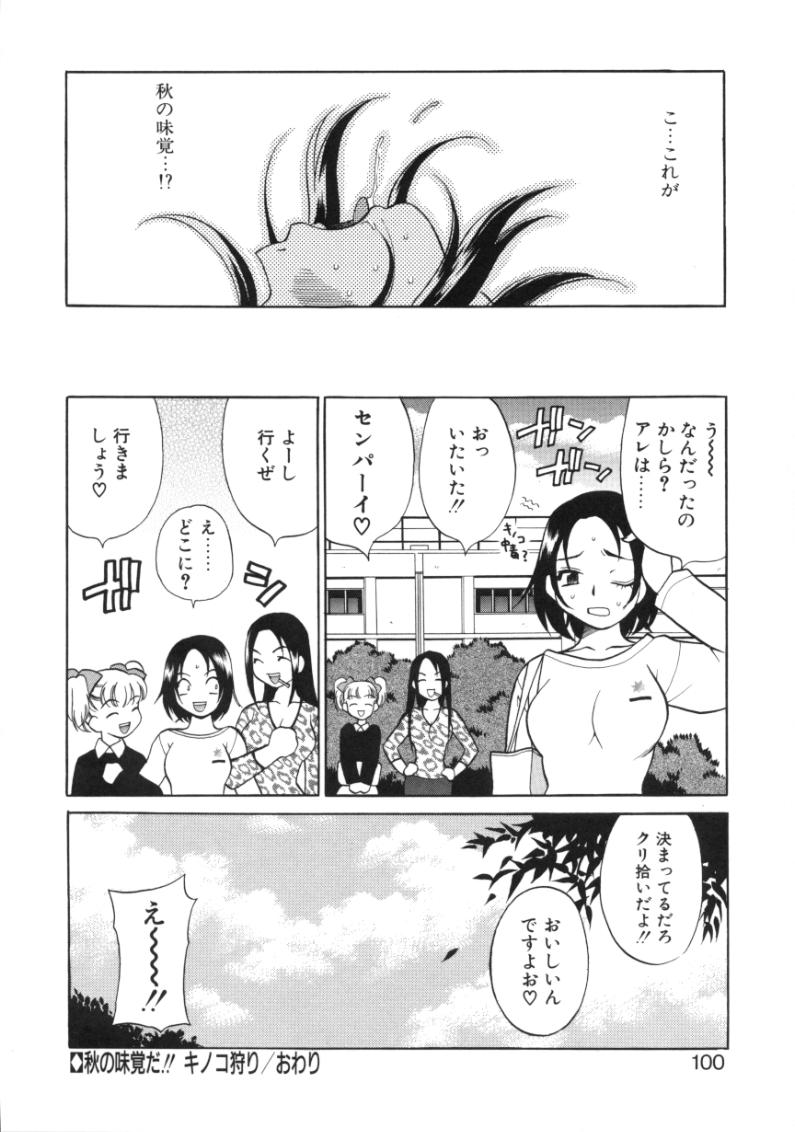 [ゆきやなぎ] びんかん娘