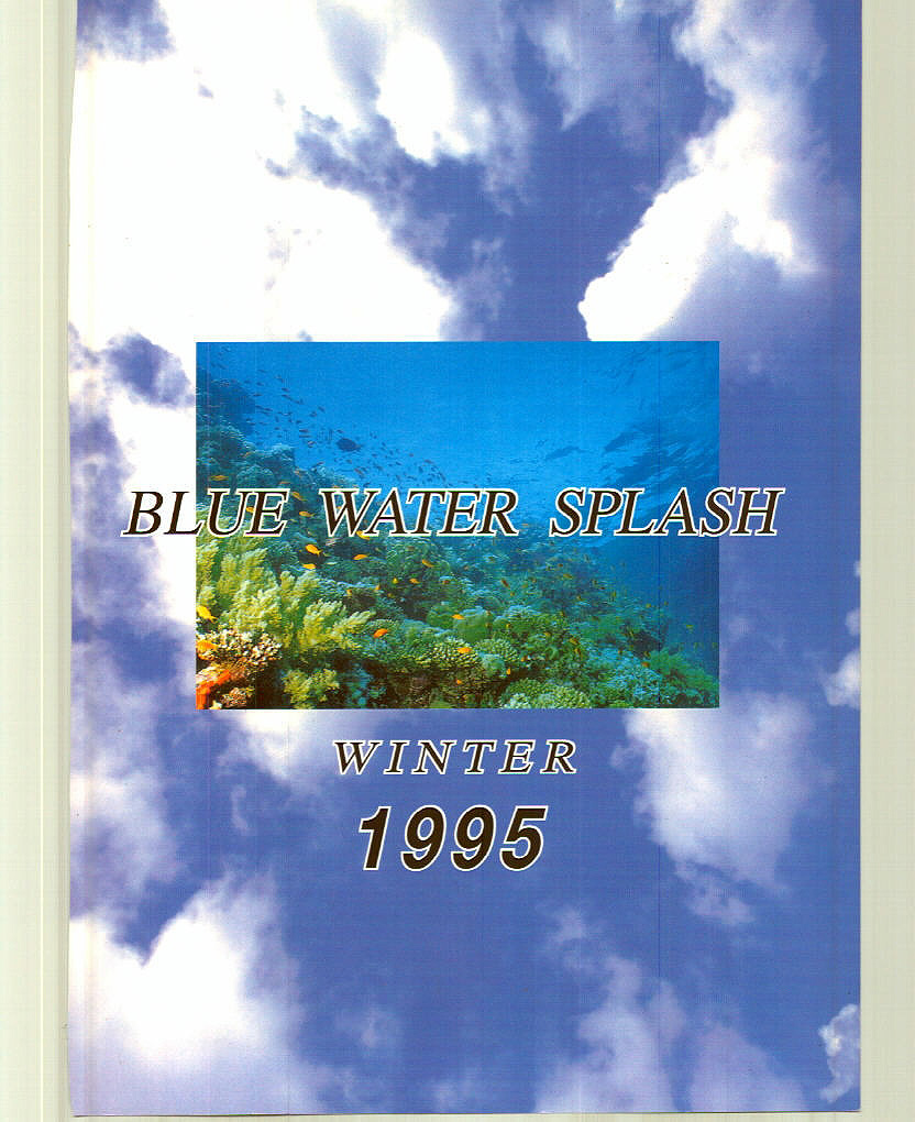 (C49) [大津久商事 (新人君)] Blue Water Splash 4
