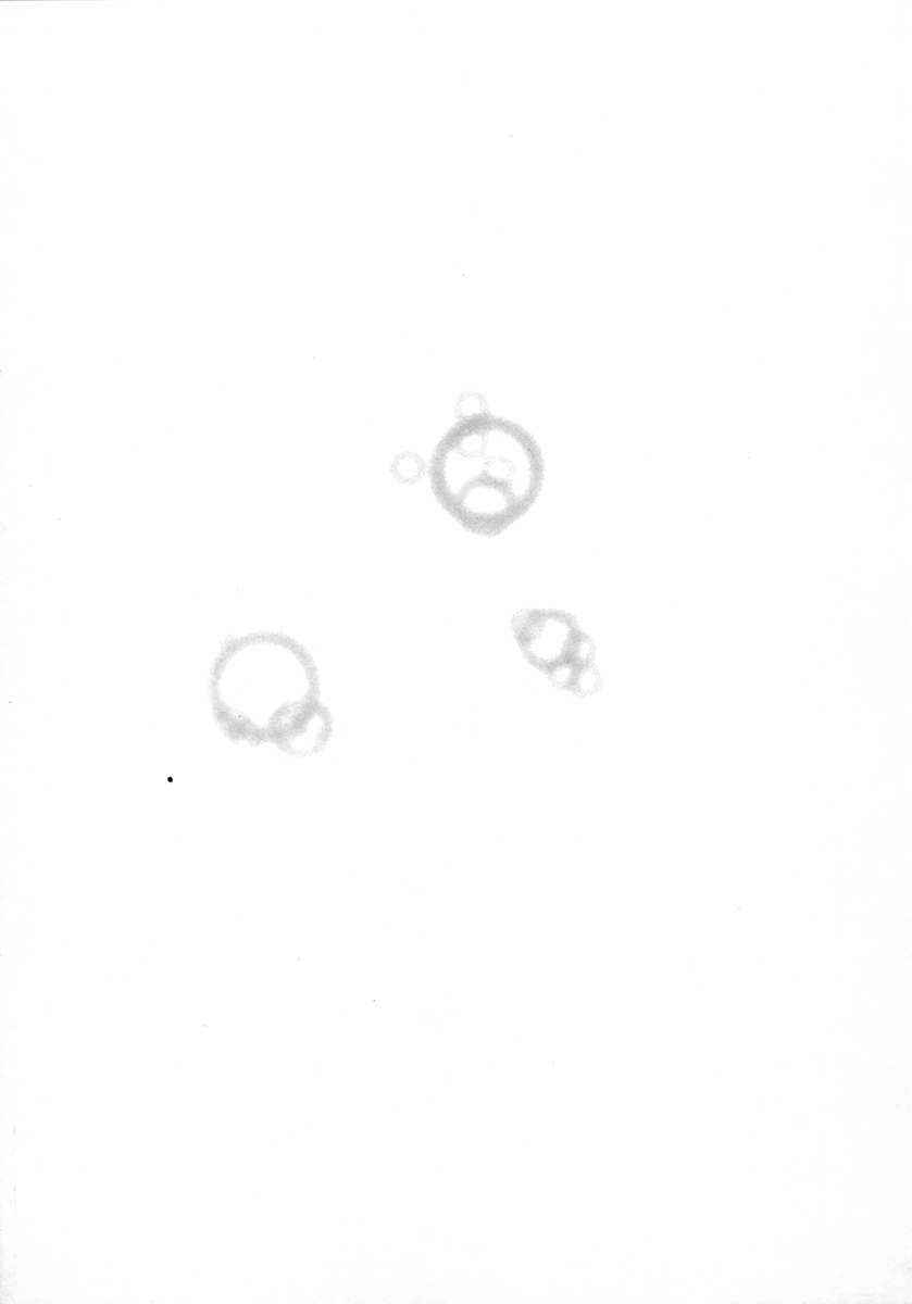 [DENJIRO] ラブペット１×１