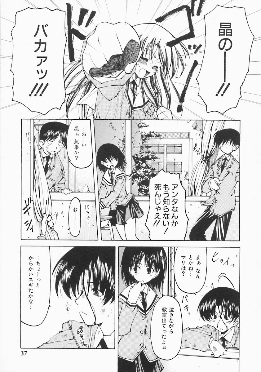 [ベンジャミン] すとれい・しーぷ