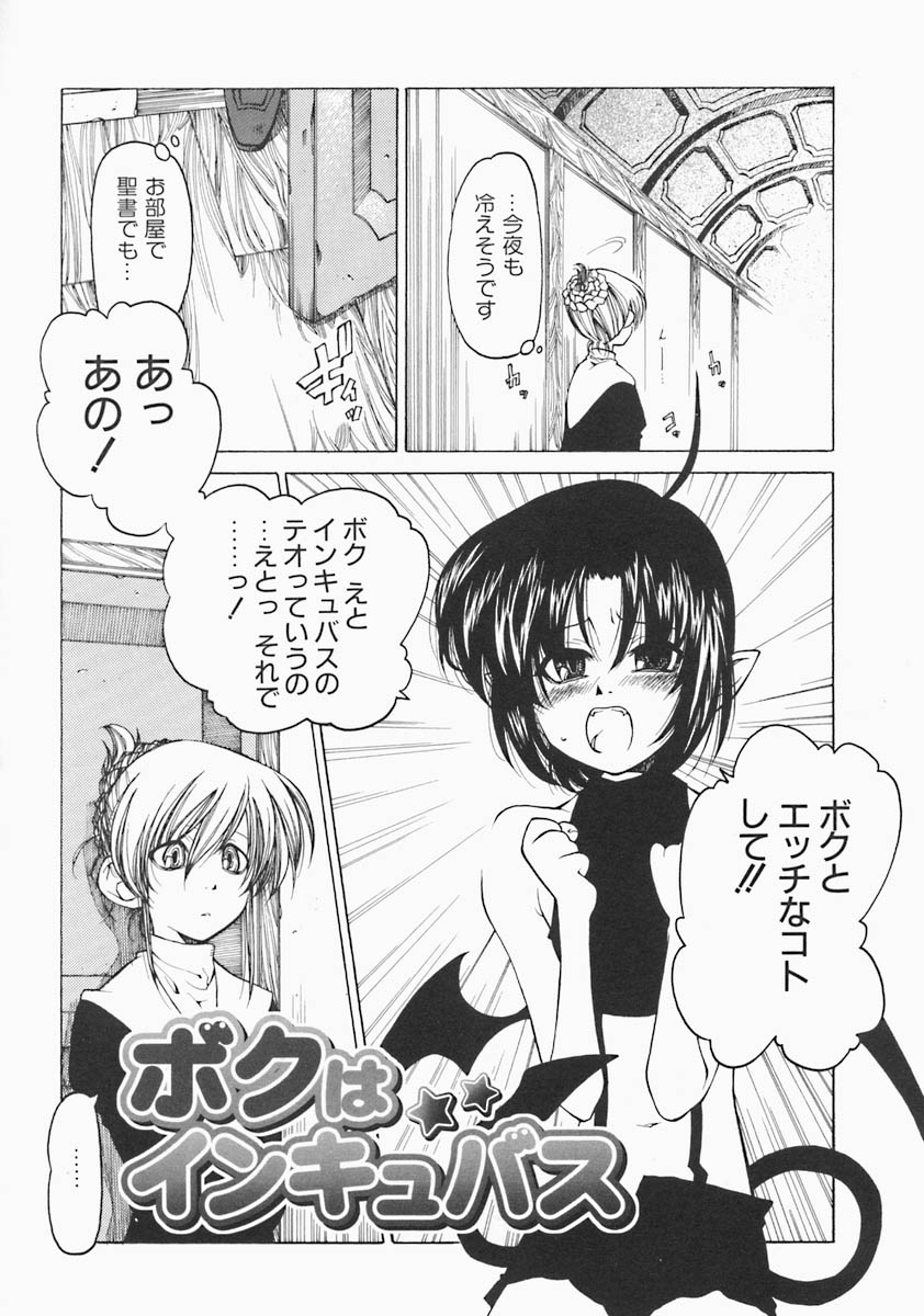 [ベンジャミン] すとれい・しーぷ