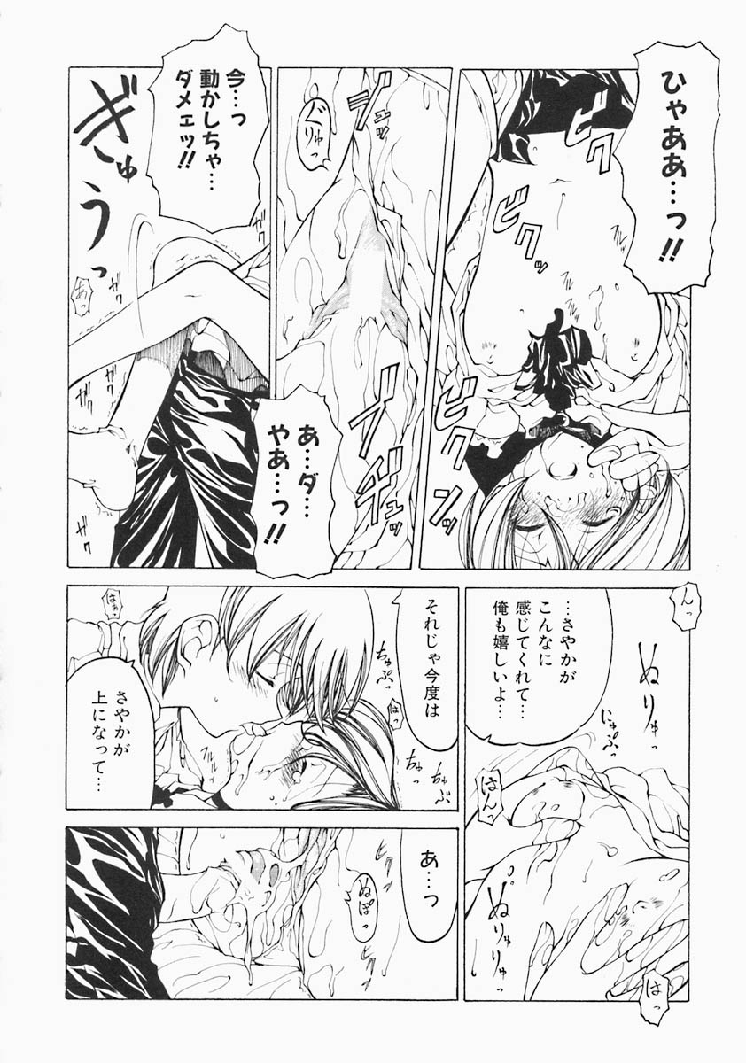 [ベンジャミン] すとれい・しーぷ