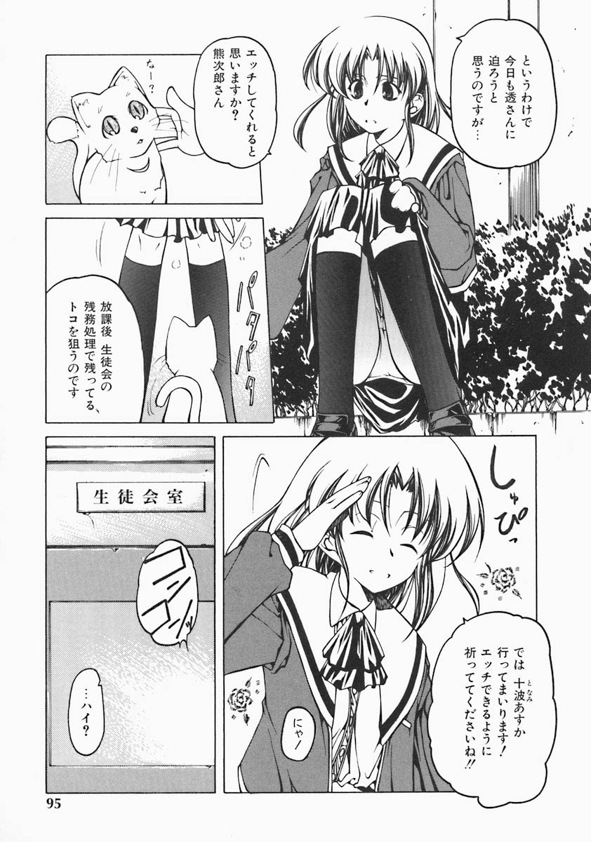 [ベンジャミン] すとれい・しーぷ