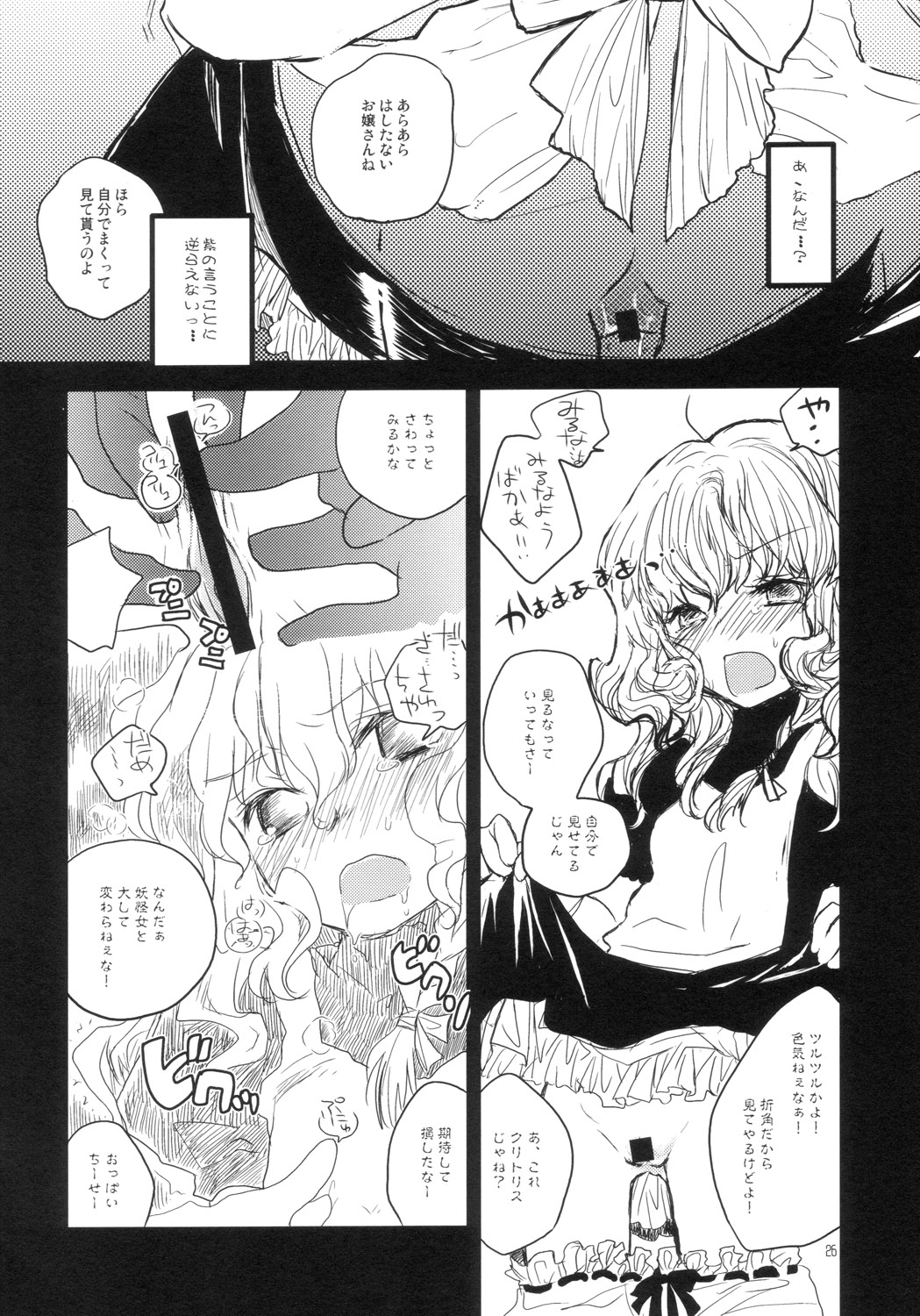 (C70) [RiceCandy (よろず)] マリサブレ (東方Project)