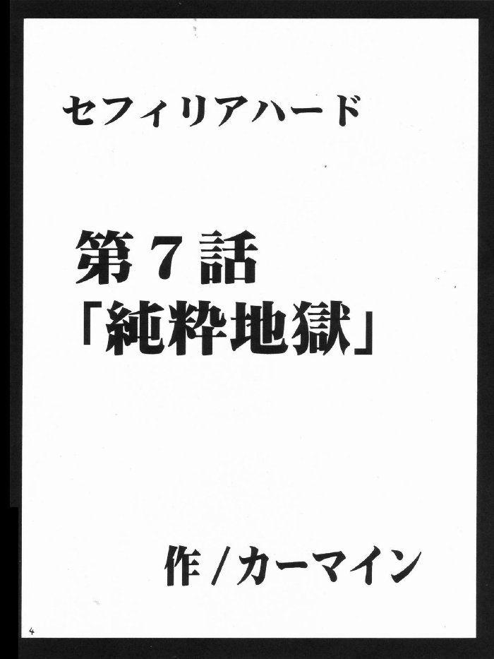 （黒猫）セフィリアハード3（クリムゾンコミックス）