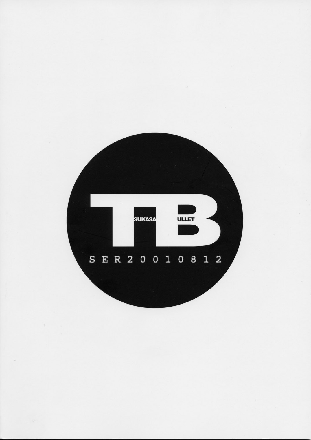 (C60) [司弾 (司淳)] Tsukasa Bullet 2001 (ストリートファイター )