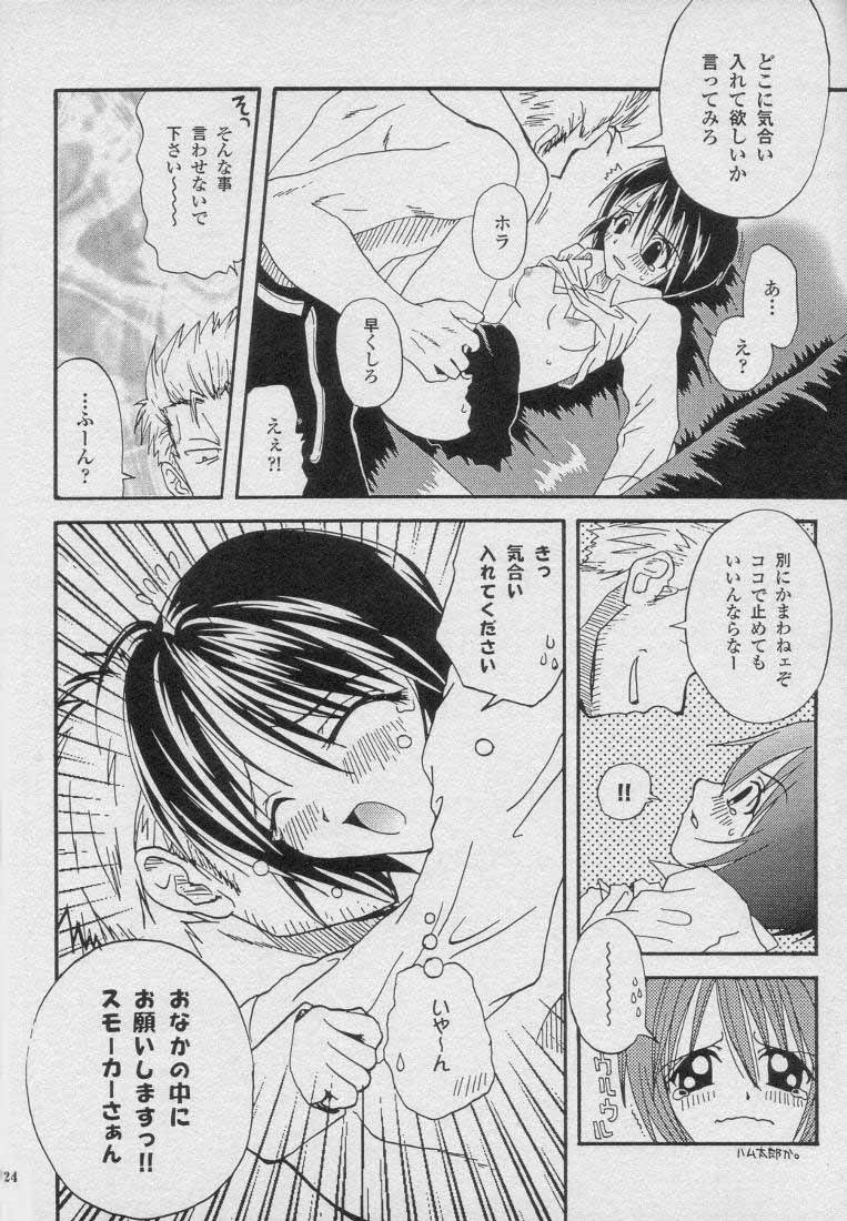 (C59) [おさかなセンター (色々)] 最終兵器 (ワンピース)