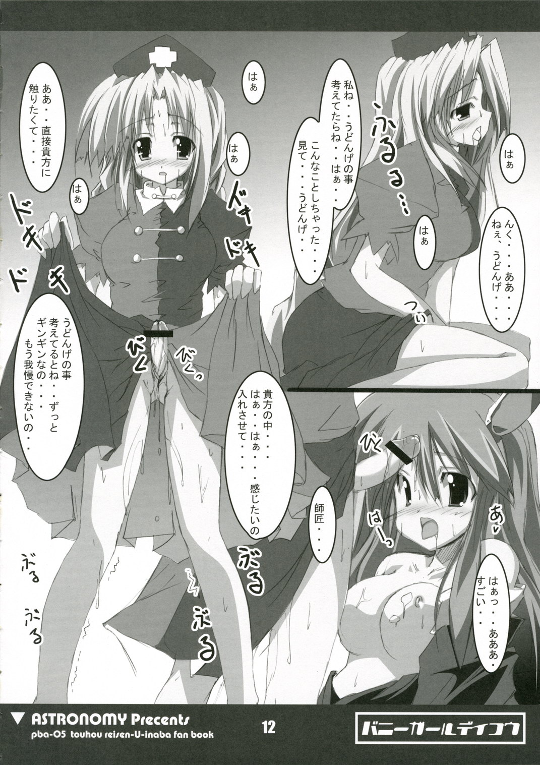 [ASTRONOMY (SeN)] バニーガールでいこう (東方Project)