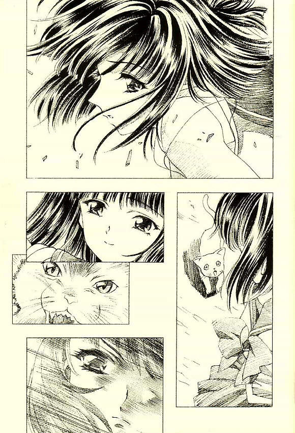(Cレヴォ31)[片励会 (かわらじま晃)] 蛍飴 (美少女戦士セーラームーン)