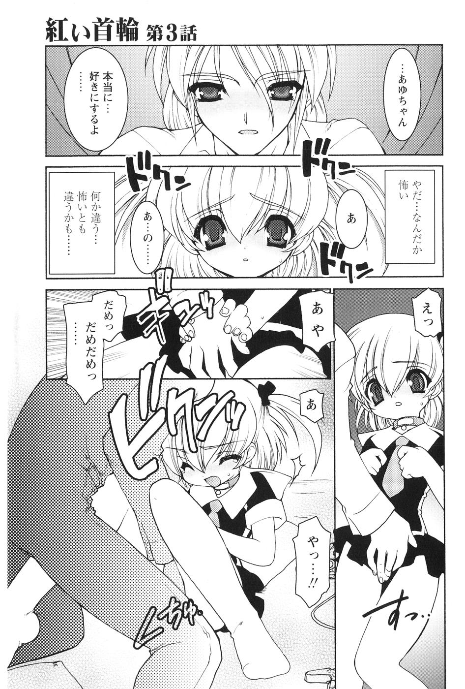 [龍炎狼牙] 紅い首輪と代価のカタチ
