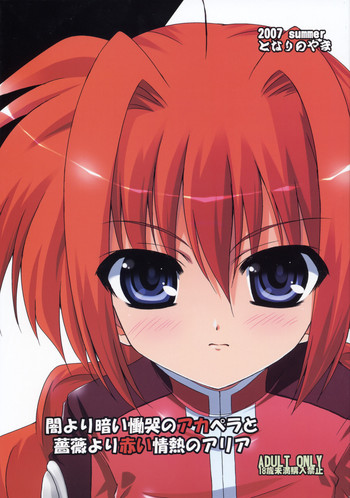 (C72) [となりのやま (横山コウジ)] 闇より暗い慟哭のアカペラと薔薇より赤い情熱のアリア (魔法少女リリカルなのは)