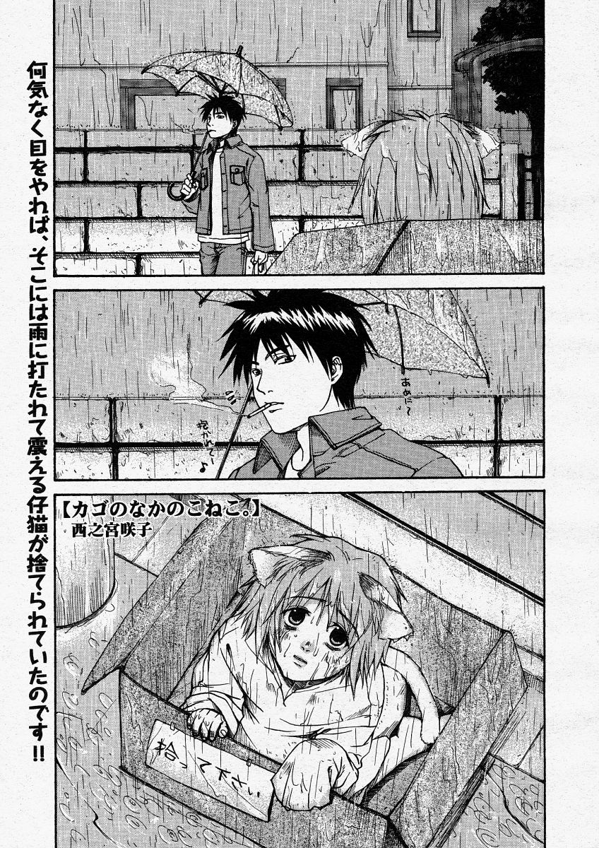 コミックメガストアH 2004年5月号