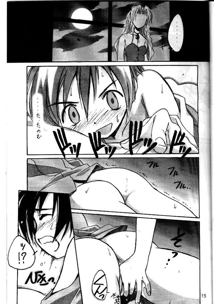 (C54) [Cu-little2 (べてぃ、まぎぃ、みみかき)] くりとる・ばかにゃ～ (ファイナルファンタジーVII、ヴァンパイアセイヴァー)
