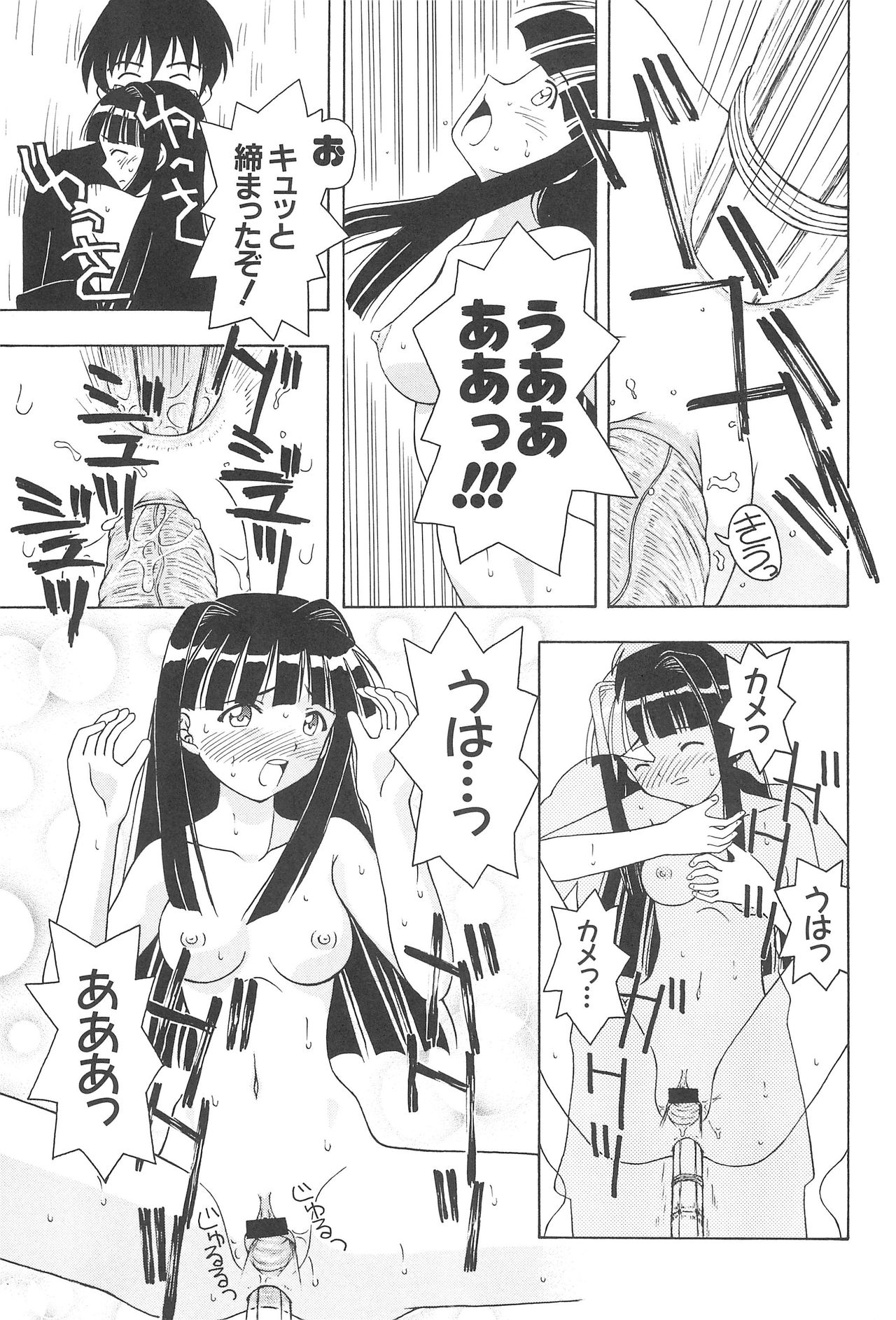 (C60) [CIRCLE FOUNDATION (藤瀬あきら)] プラちな2 (ラブひな)