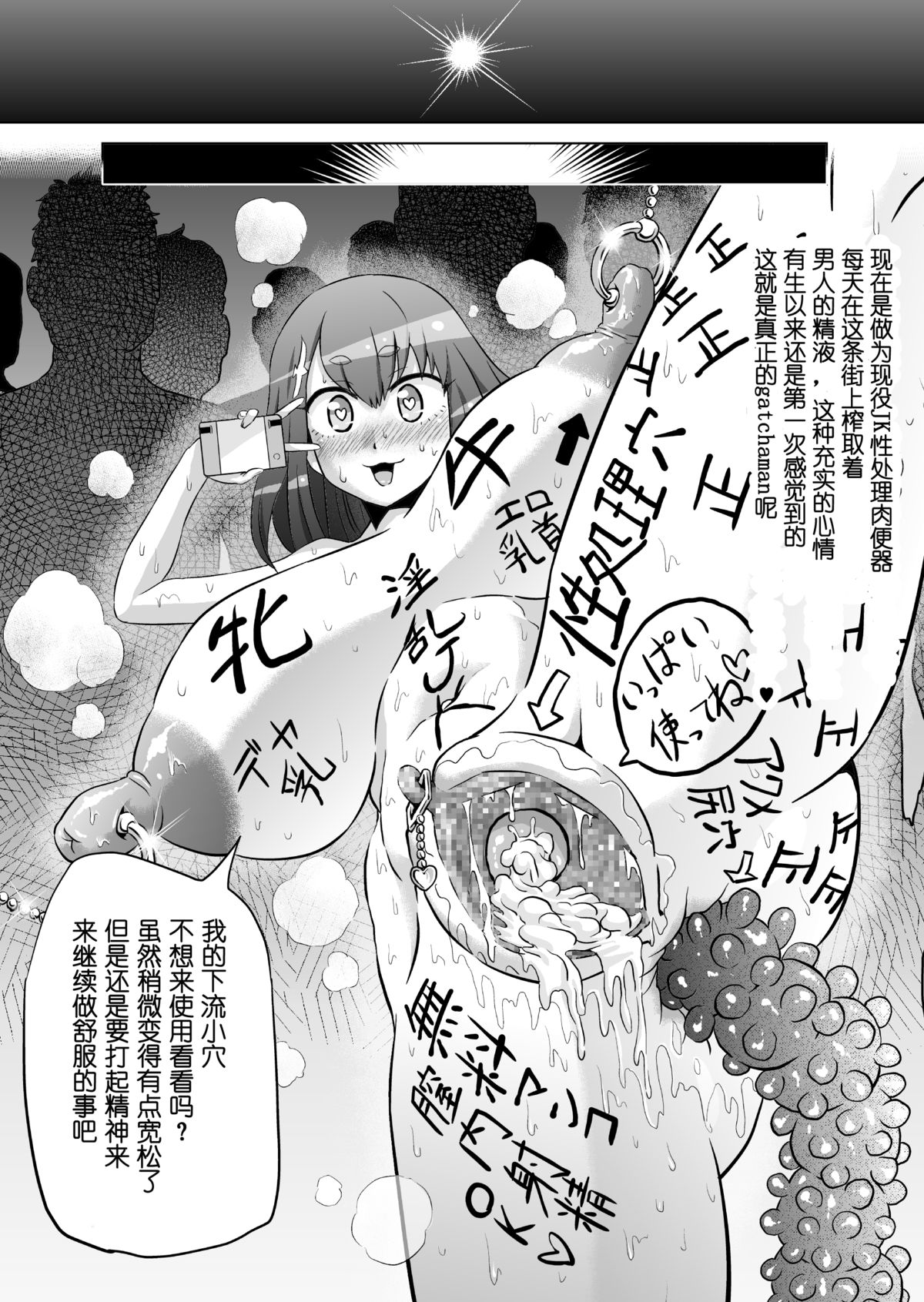 [アヘ丸 (ヘンリーク)] いりはじ (Fate/kaleid liner プリズマ☆イリヤ、ガッチャマンクラウズ) [中国翻訳] [DL版]
