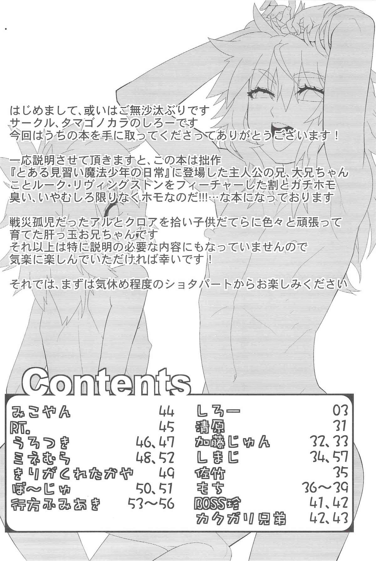 (コミティア102) [タマゴノカラ (よろず)] とある放浪青年の放蕩な日常