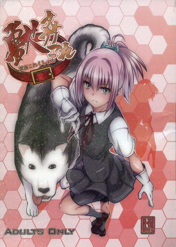 (サンクリ61) [漸速ライダー (天漸雅)] 獣姦これくしょん (艦隊これくしょん -艦これ-)