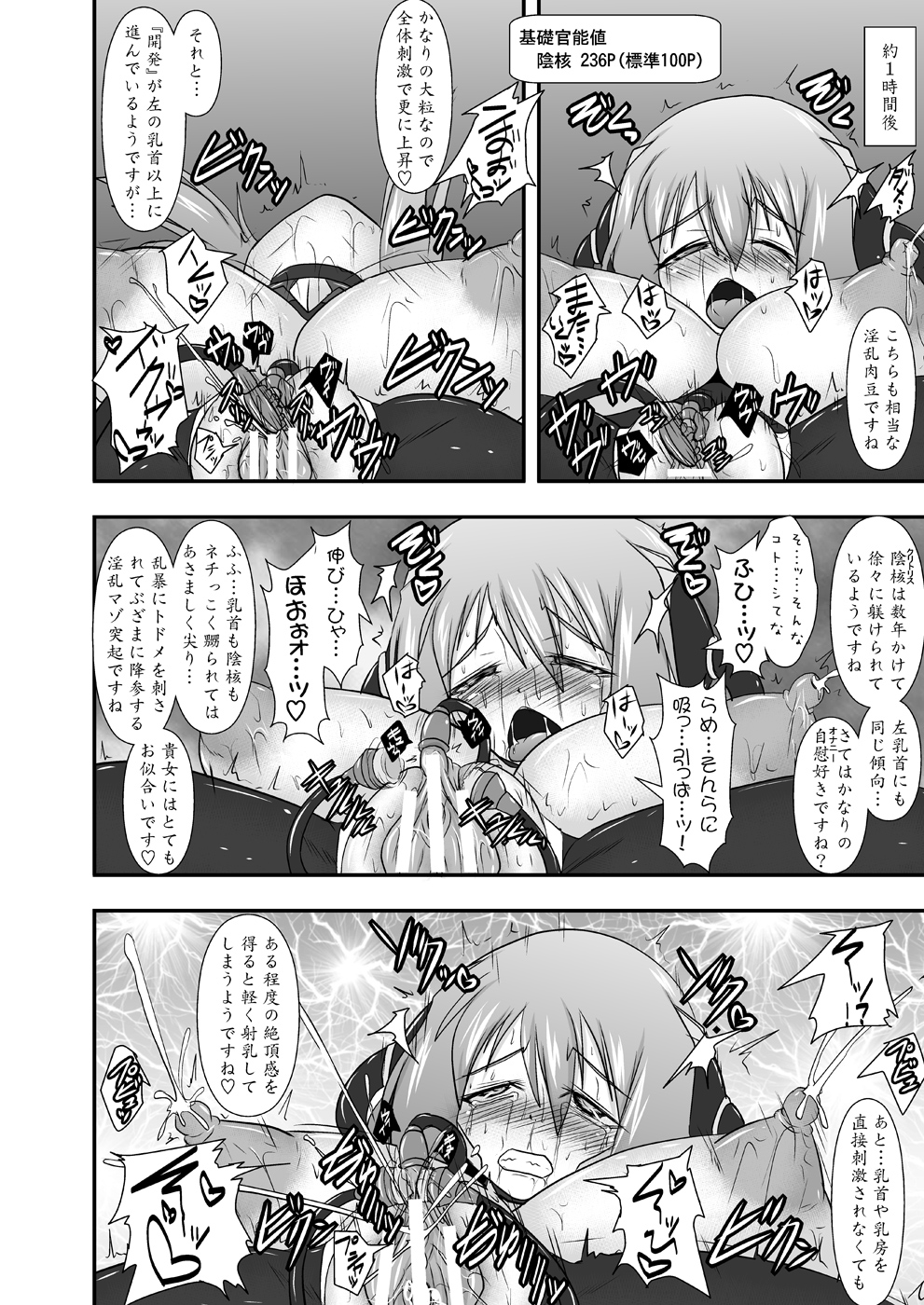 [FONETRASON (竜湯)] 煌盾装騎エルセイン Vol.11 NETHER LABORATORY [DL版]