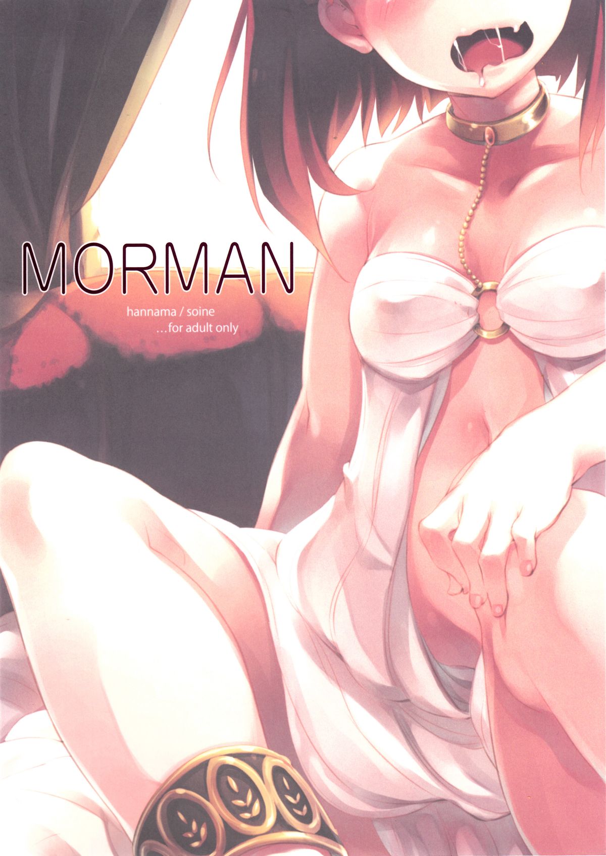 (C83) [はんなま (添い寝)] MORMAN (マギ)