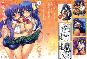 (C82) [乙女気分 (三色網戸。)] 学校で性春！総集編1