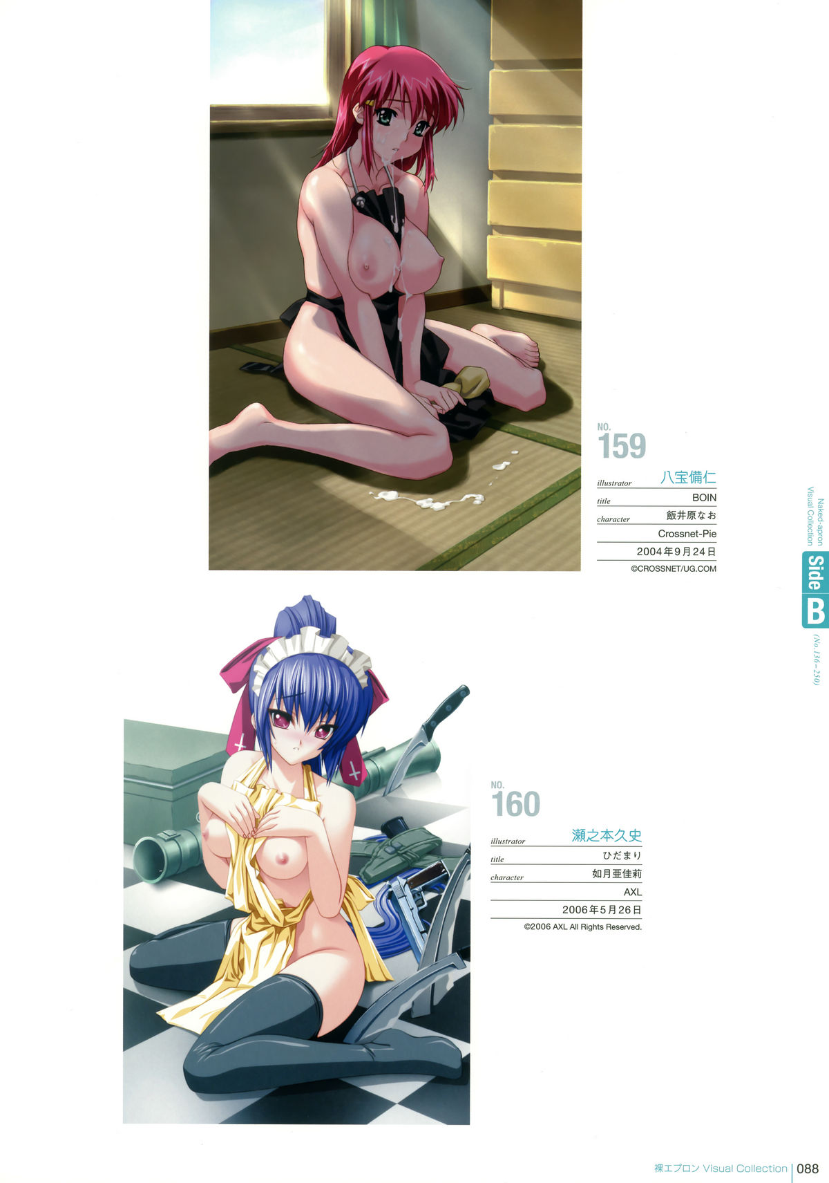 裸エプロン Visual Collection